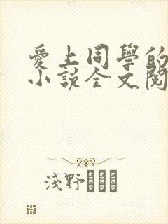 爱上同学的妈妈小说全文阅读