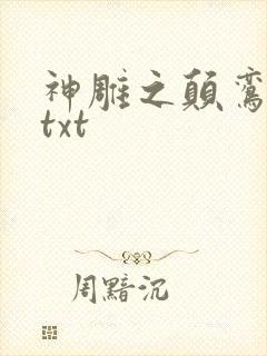 神雕之颠鸾倒凤txt封面