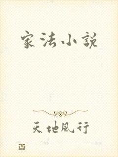 家法小说