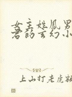 女主姓凤男主姓君的玄幻小说封面