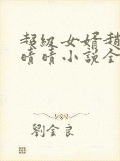超级女婿赵旭李晴晴小说全文免费阅读