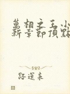 万相之王小说最新章节顶点