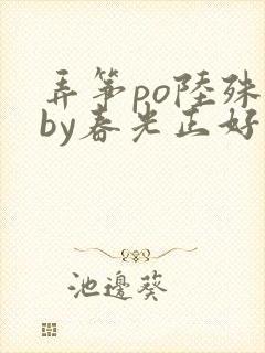 弄筝po陆殊词by春光正好封面