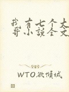 我有七个大佬哥哥小说全文