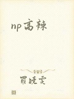 np高辣