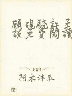 顾砚骁许柔汐小说免费阅读最新章节封面