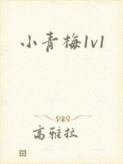 小青梅1v1