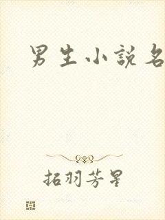 男生小说名字