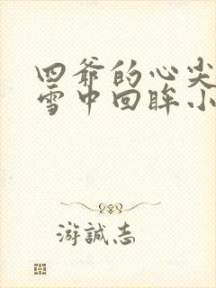 四爷的心尖宠妃雪中回眸小说的免费阅读封面
