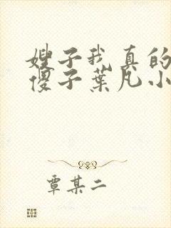 嫂子我真的不是傻子叶凡小说 原名