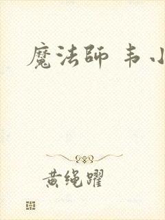 魔法师 韦小宝