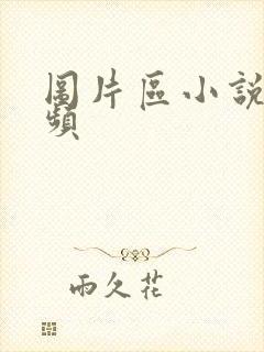 图片区小说区视频封面