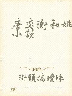 唐奕衡和姚璐的小说