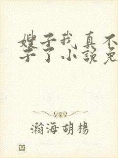 嫂子我真不是傻子了小说免费下载txt封面