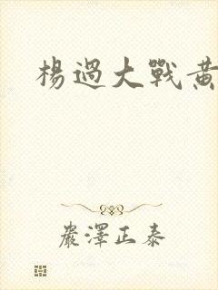 杨过大战黄蓉