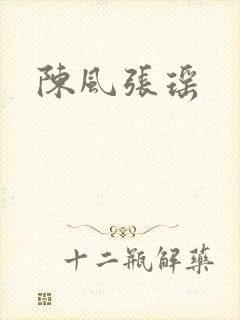 陈风张瑶