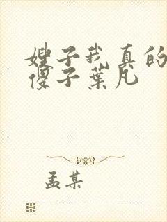 嫂子我真的不是傻子叶凡