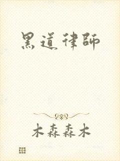 黑道律师封面