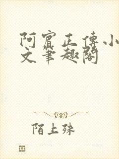 阿宾正传小说全文笔趣阁封面
