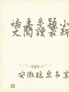 娇妻梦颖小说全文阅读最新章节更新