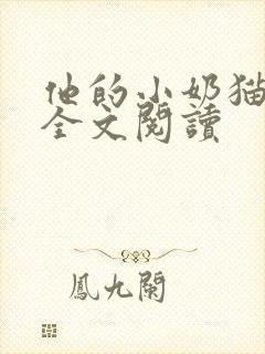 他的小奶猫小说全文阅读