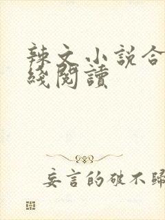 辣文小说合集在线阅读