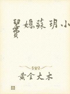 儿媳苏玥小说免费