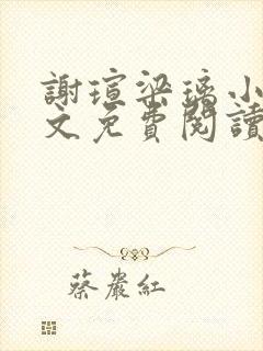 谢瑄梁璃小说全文免费阅读