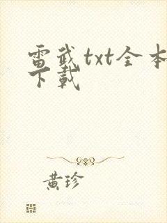 雷武txt全本下载封面