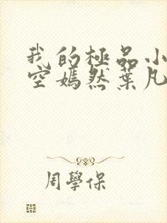 我的极品小姨司空嫣然叶凡