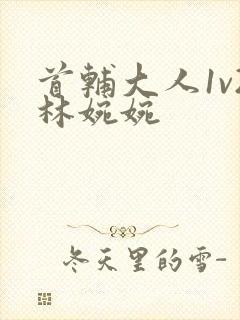 首辅大人1v2林婉婉