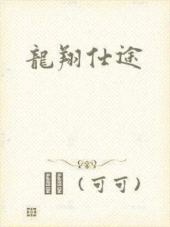 龙翔仕途