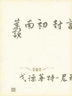 叶南初 封言小说