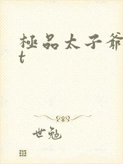极品太子爷txt