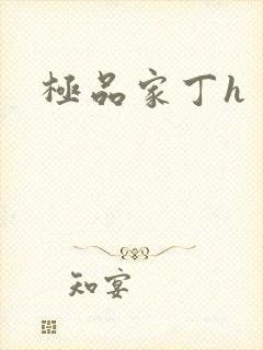 极品家丁h