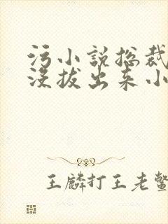 污小说总裁整夜没拔出来小说在线阅读