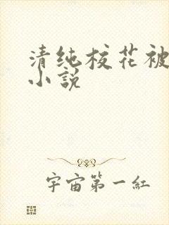 清纯校花被日常小说