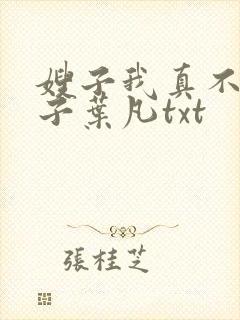 嫂子我真不是傻子叶凡txt