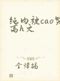 纯肉被cao哭高h文