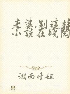 老婆,别这样 小说在线阅读