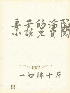 妻子的沦陷七安小说免费阅读封面