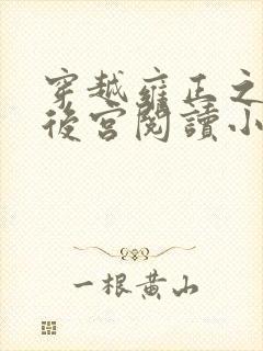 穿越雍正之极品后宫阅读小说