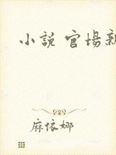 小说 官场新贵