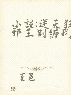 小说:逆天狂妃邪王别缠我