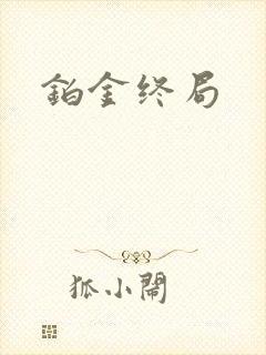 铂金终局