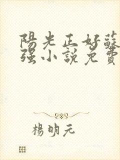 阳光正好苏玥马强小说免费阅读