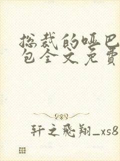 总裁的哑巴小奶包全文免费阅读 小说封面