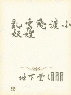 乱云飞渡小说之姣嫂