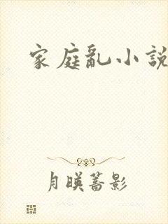 家庭乱小说