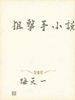 狙击手小说封面